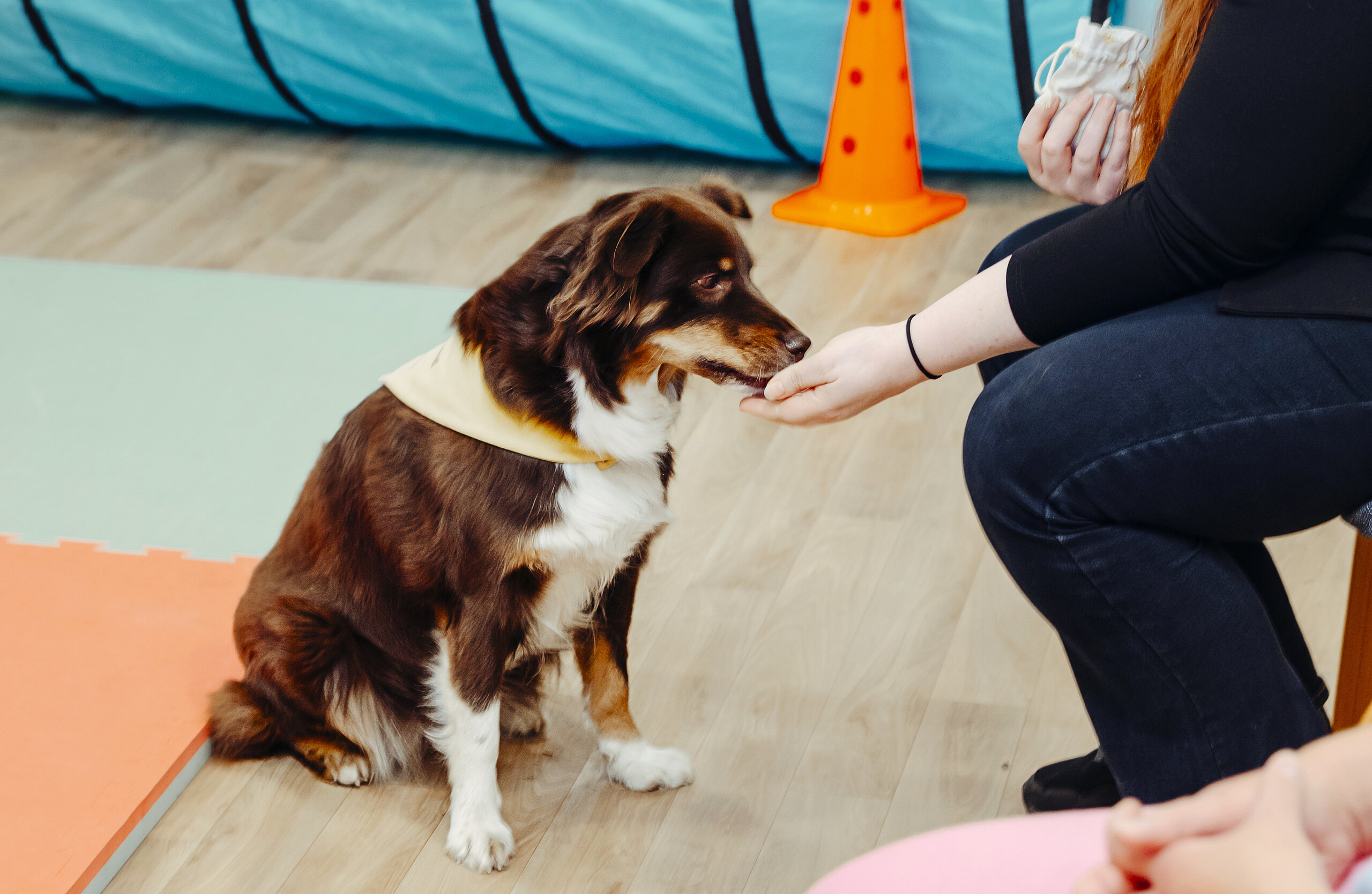 Therapiehund Therapiehund in einer Gruppe mit Patienten.